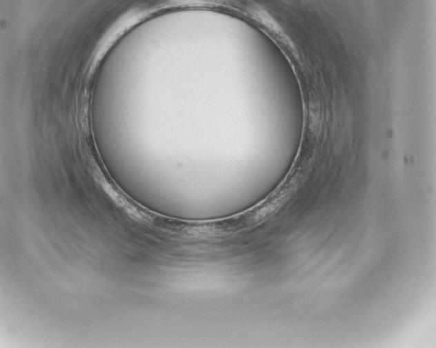 X0000060271421200511112035