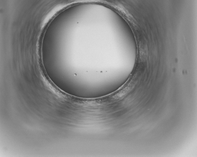 X0000060271422200511112035