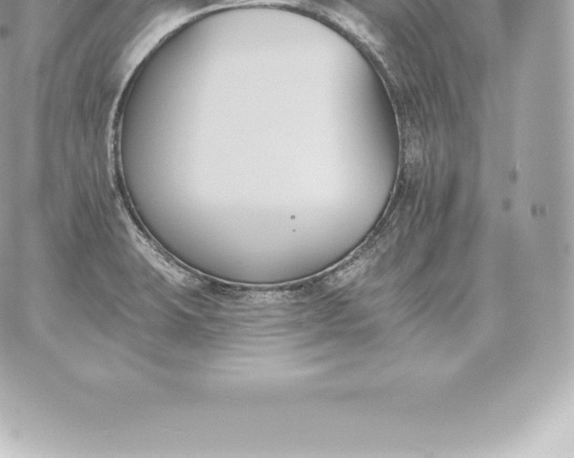 X0000060271423200511112035