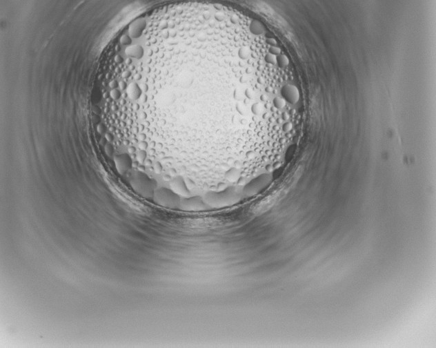 X0000060271425200511112035