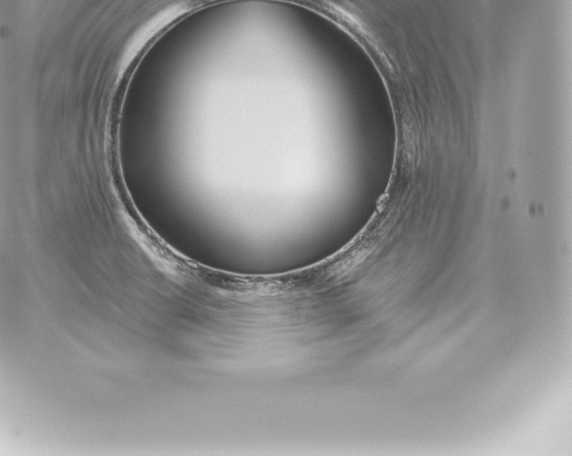 X0000060271426200511112035