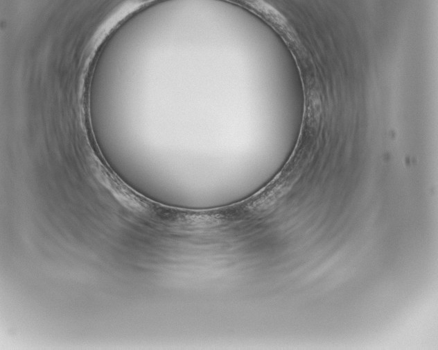 X0000060271427200511112035