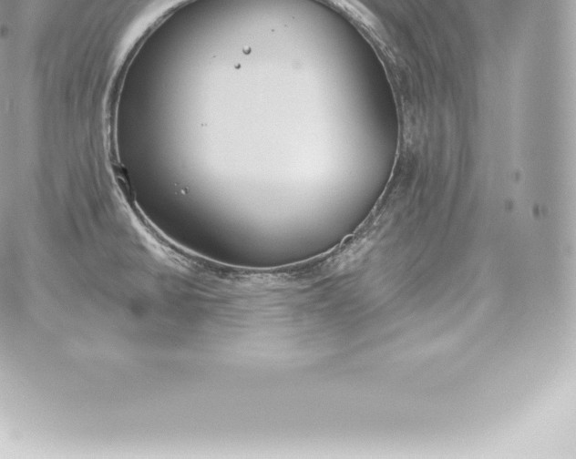 X0000060271430200511112035