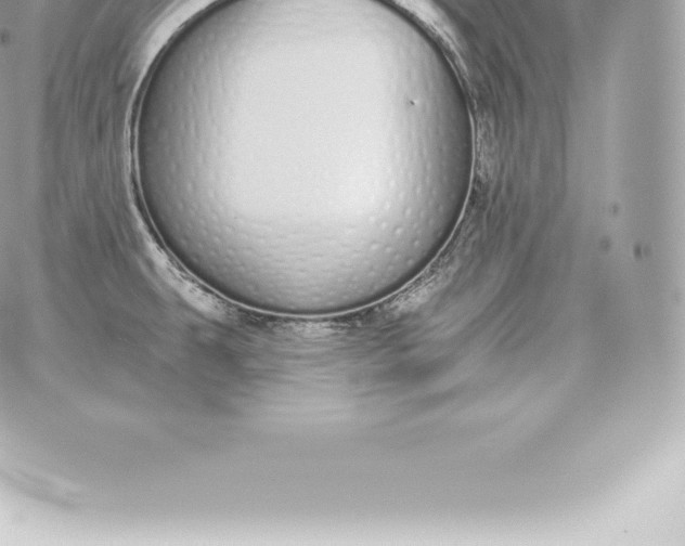 X0000060271431200511112035