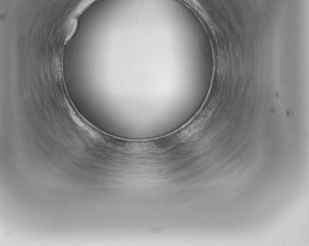 X0000060271433200511112035