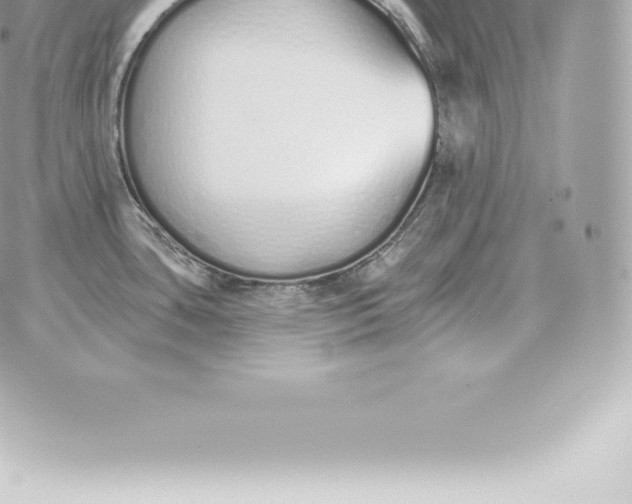 X0000060271435200511112035