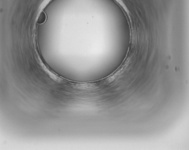 X0000060271437200511112035