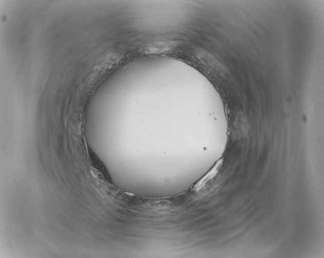 X0000060271441200511112035