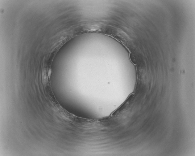 X0000060271442200511112035