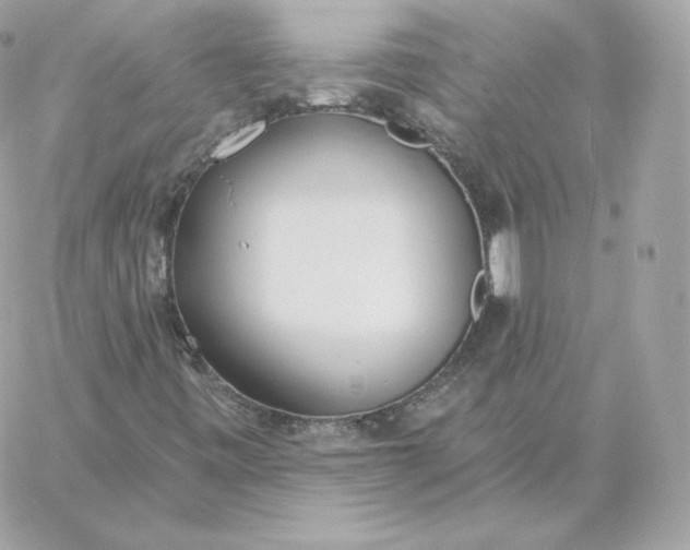 X0000060271443200511112035