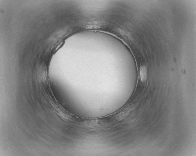 X0000060271444200511112035