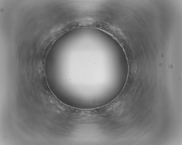 X0000060271445200511112035