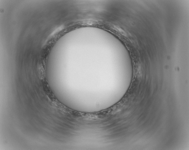 X0000060271446200511112035