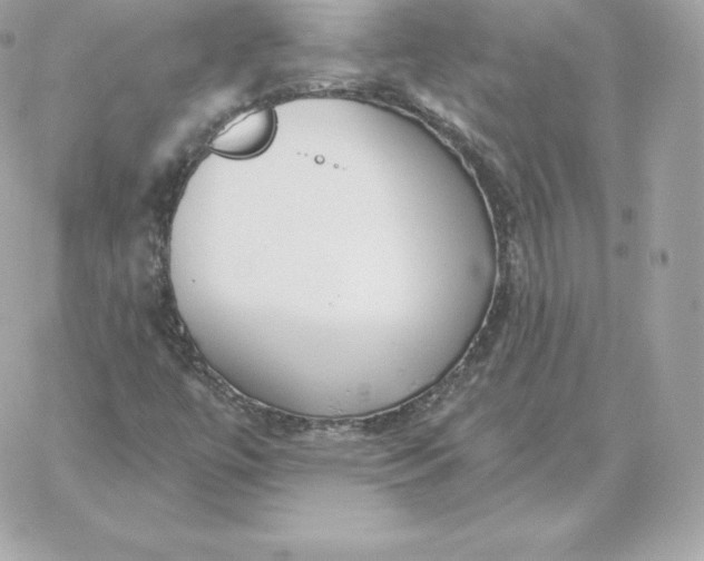 X0000060271447200511112035