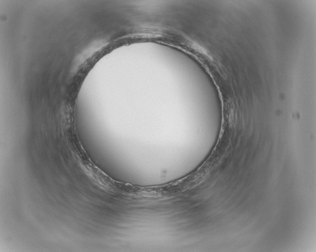 X0000060271448200511112035