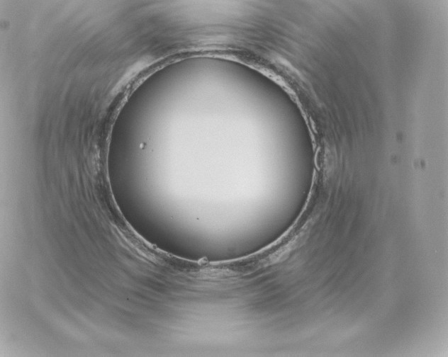 X0000060271449200511112035