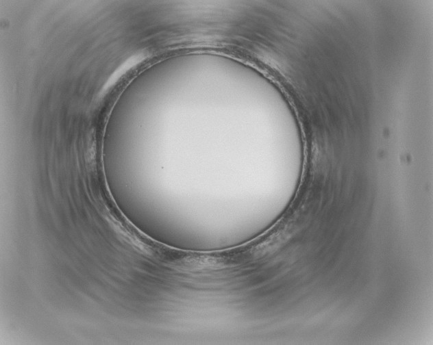 X0000060271450200511112035