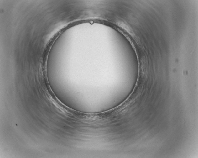 X0000060271452200511112035