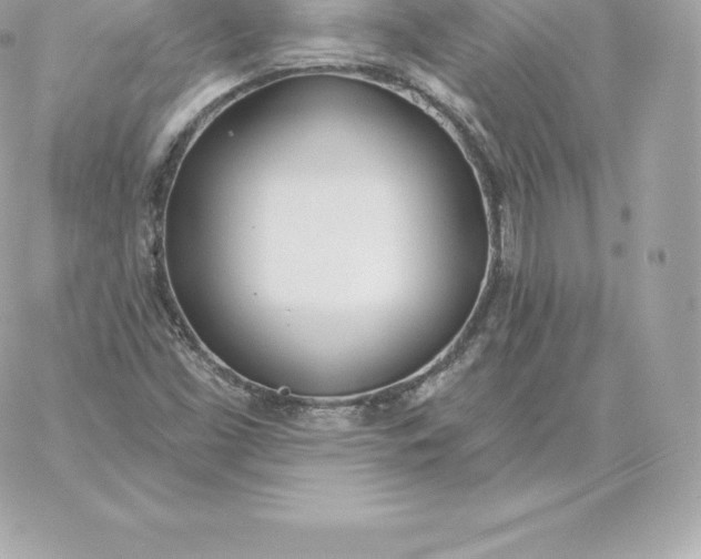 X0000060271453200511112035