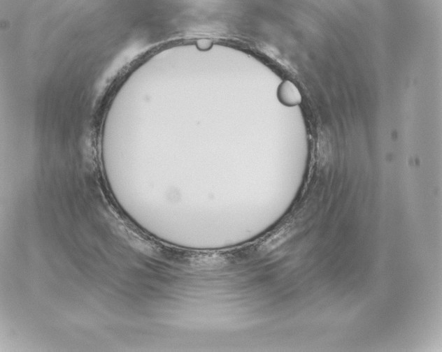 X0000060271454200511112034