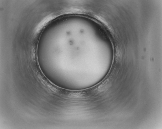 X0000060271455200511112034