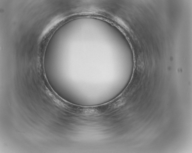 X0000060271456200511112034