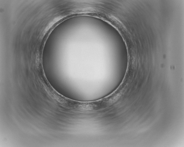 X0000060271457200511112034