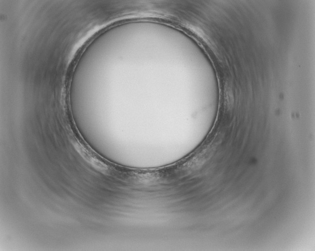 X0000060271460200511112034