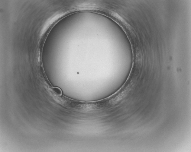 X0000060271461200511112034