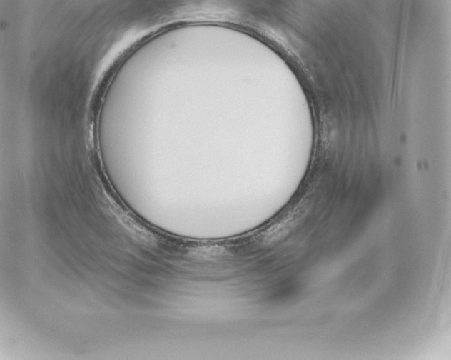 X0000060271462200511112034