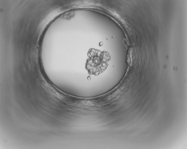 X0000060271463200511112034