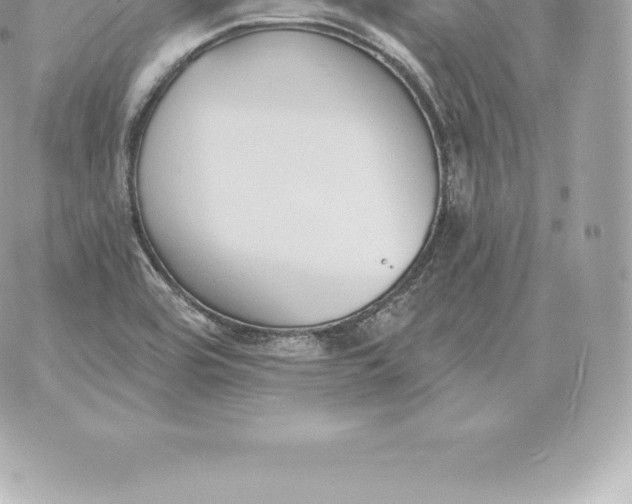 X0000060271464200511112034