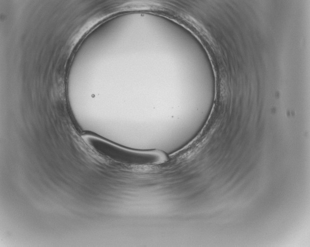 X0000060271465200511112034