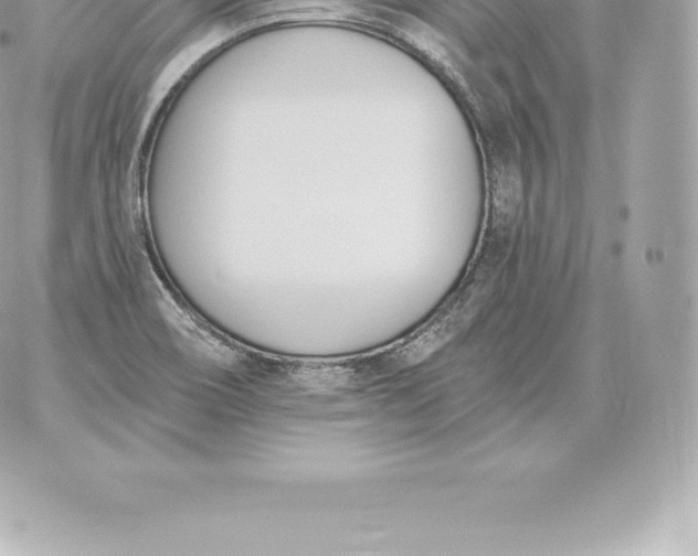 X0000060271466200511112034