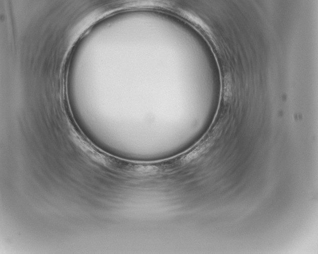 X0000060271467200511112034