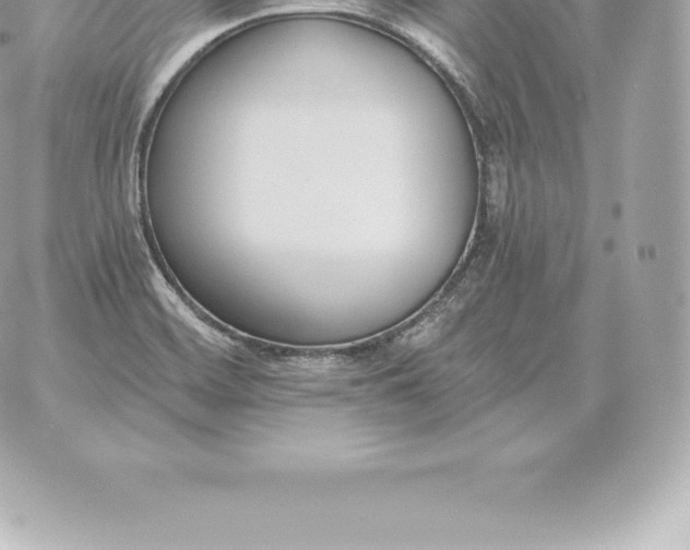 X0000060271468200511112034