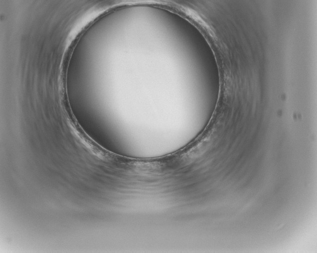 X0000060271469200511112034