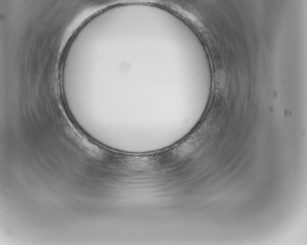 X0000060271470200511112034