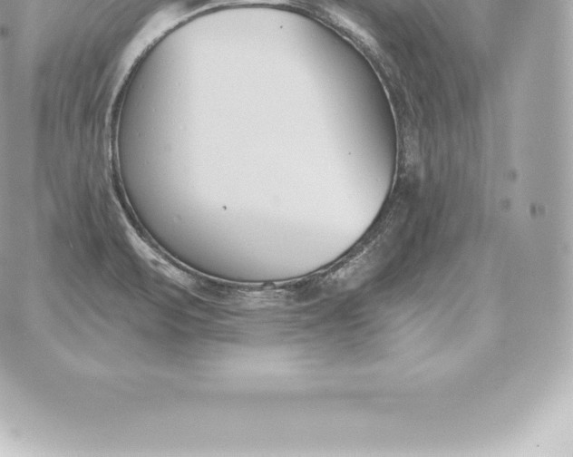 X0000060271471200511112034