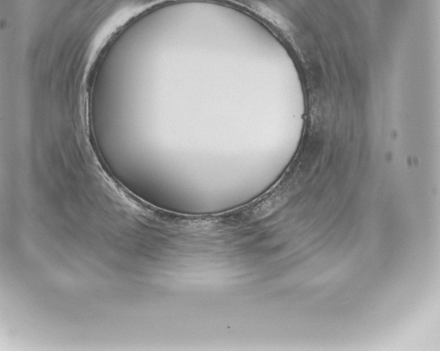 X0000060271472200511112034