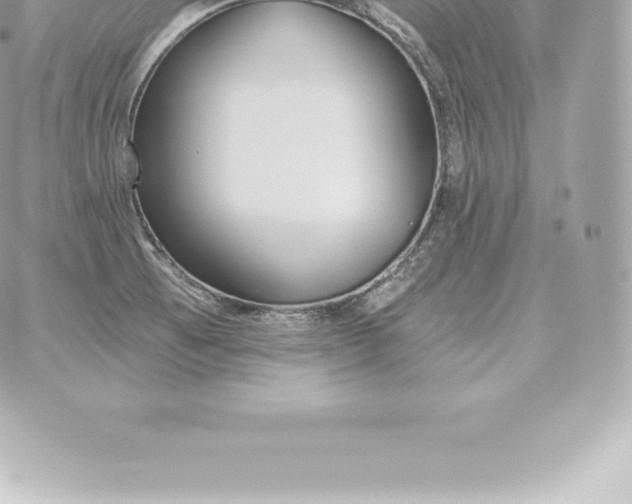 X0000060271473200511112034