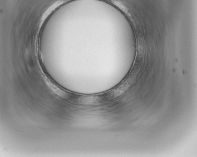 X0000060271474200511112034