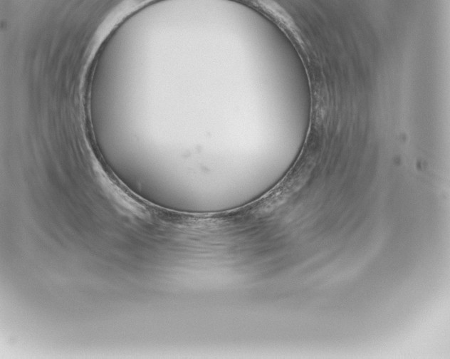 X0000060271475200511112034