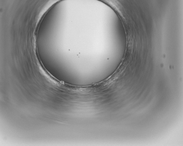 X0000060271476200511112034