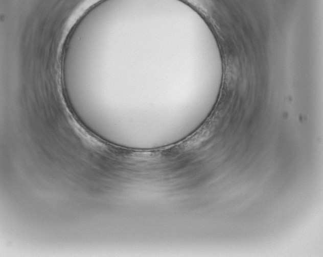 X0000060271478200511112034