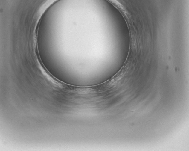 X0000060271479200511112034