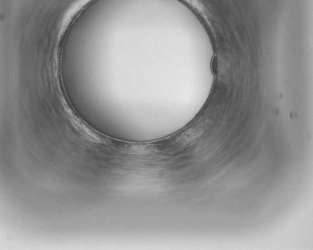 X0000060271480200511112034