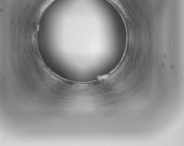 X0000060271481200511112034