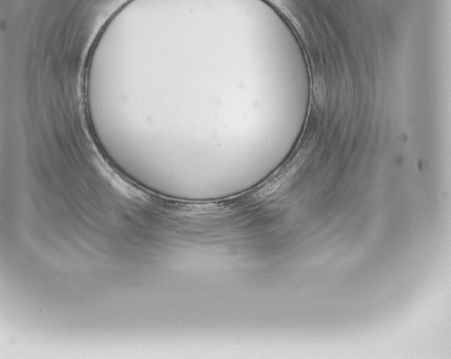 X0000060271482200511112034