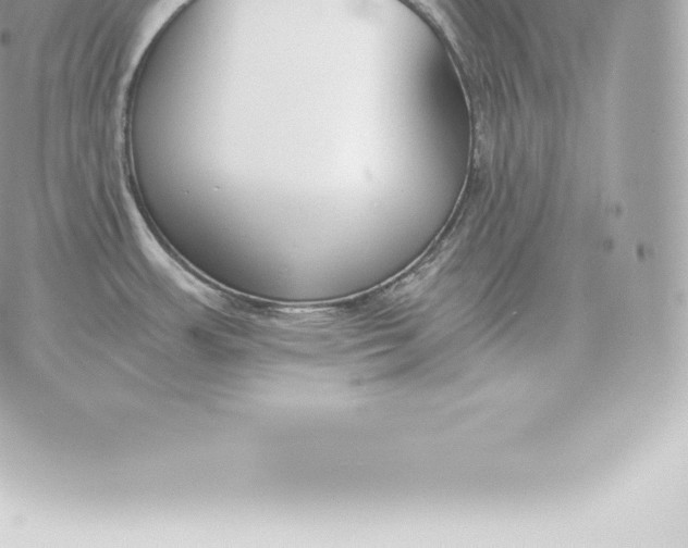 X0000060271483200511112034